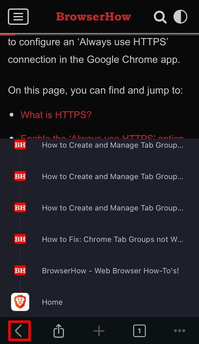 check browsing history using Brave browser navigation buttons