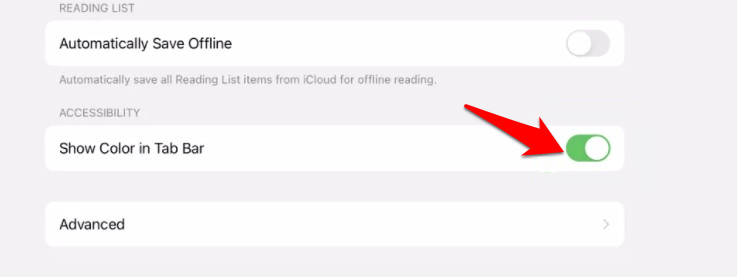 iPad Accessibility section Show Color in Tab Bar