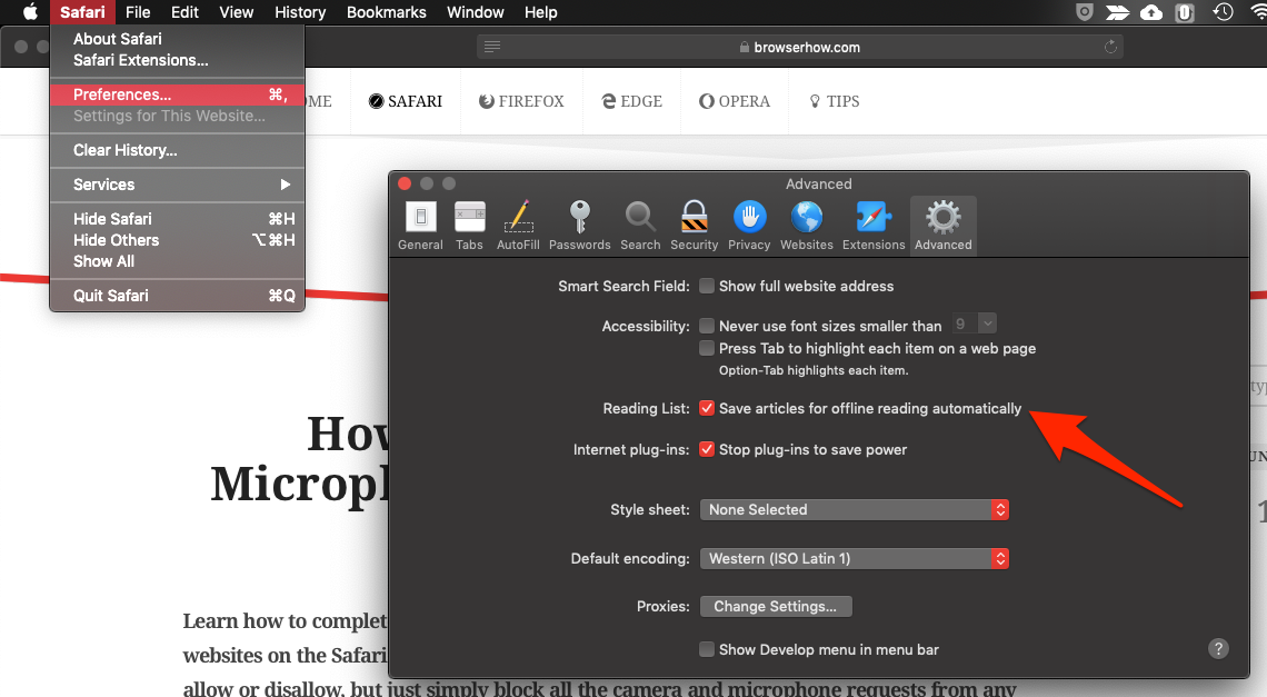 Safari Preferences Advanced Settings for Reading List Save Offline option